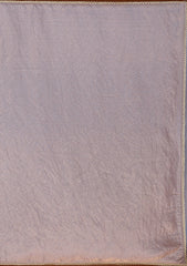 Grey Sequins Organza Saree