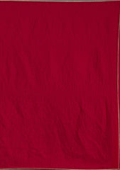 Rani Pink Sequins Tissue Saree