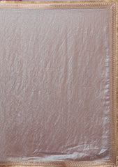 Sky Blue Threadwork Tissue Saree