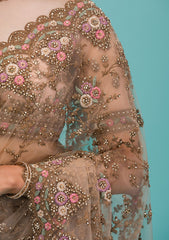 Beige Zariwork Net Saree