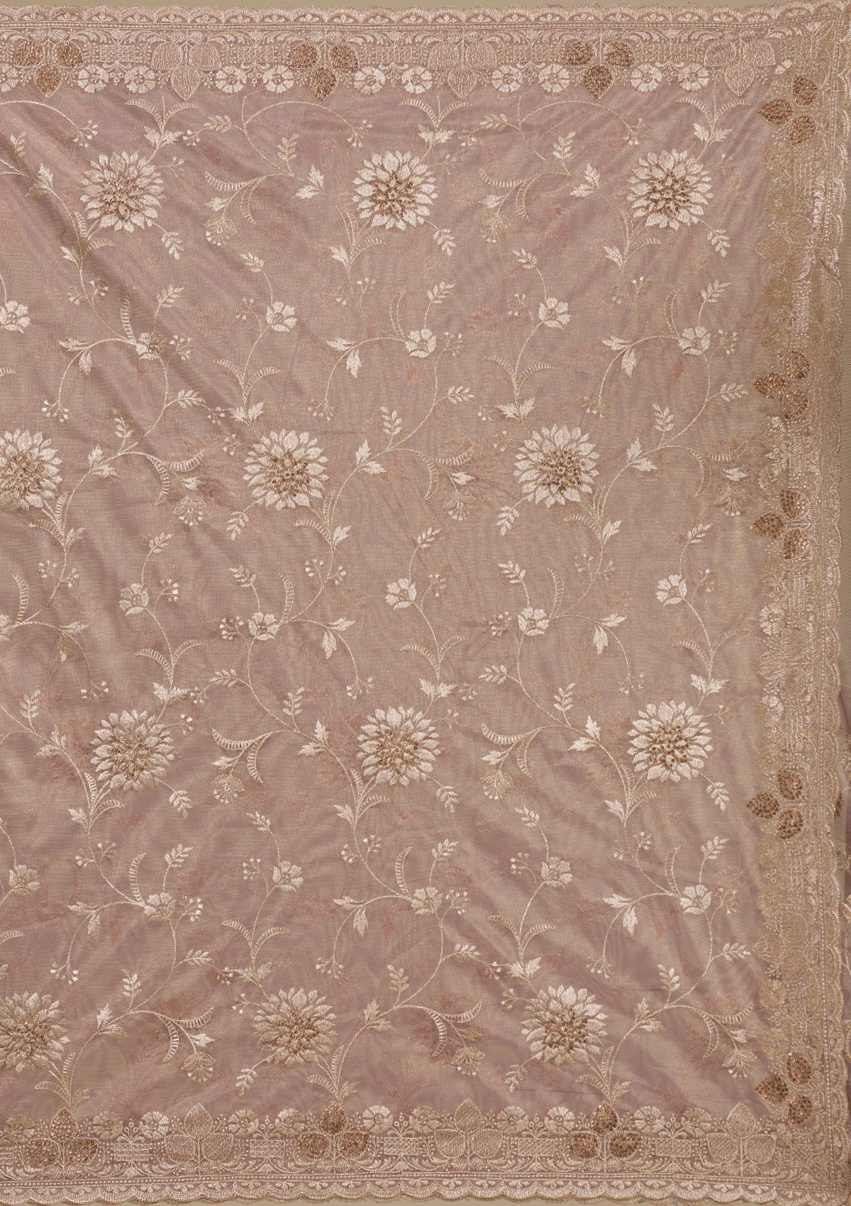 Light Brown Zariwork Tissue Saree