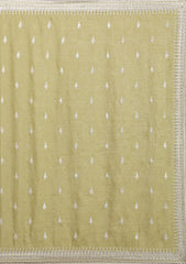 Mehendi Zariwork Tissue Saree