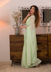 Pista Green Sequins Chiffon Designer Saree